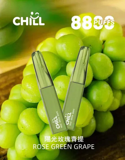 CHILL 鴨嘴獸 8800口 拋棄式電子煙 獨特鴨嘴造型搭配12W強勁輸出 展現豐富熱銷風味