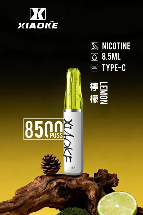 d185d7e28615e84aca893d861a0e04f4-1024x1536.jpg.webp XIAOKE 梟客 8500口 拋棄式電子煙 具備8.5ml儲油量與3%尼古丁鹽 搭配Type-C充電設計