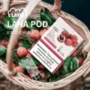 image-289.webp LANA 一代通用煙彈 3顆超值裝 主打升級陶瓷芯純淨口感與吸氣即亮炫彩特效 結合2.5ml大容量設計