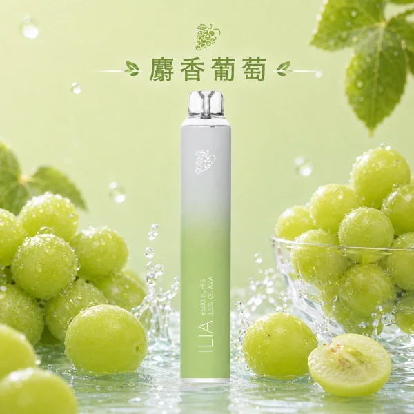 ILIA 哩亞 Bar4 6500口 拋棄式電子煙 主打多口味水果冰系調校 結合獨家不漏油順滑霧化技術